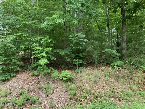 Level Building Lot in Loudon
