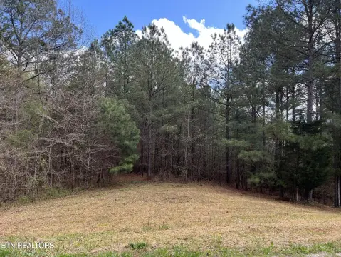 Maryville Acreage Near Amenities