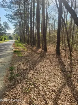 Secluded Lot in Chocowinity, NC