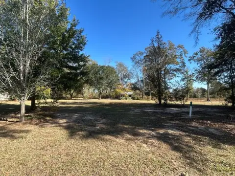 Residential Land in Downtown Cowarts