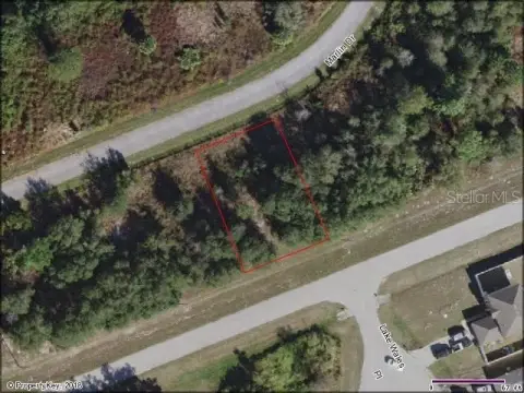 Residential Land in Poinciana, Florida
