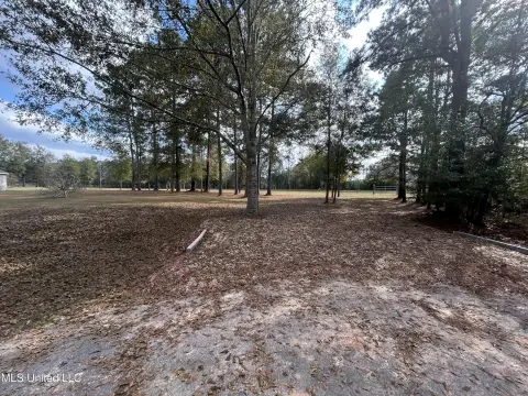 Picayune Wooded Homesite Opportunity