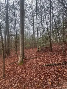 Ellijay Land: Mountain Living Awaits