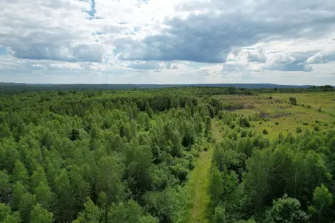 Rural Land with Driveway Access