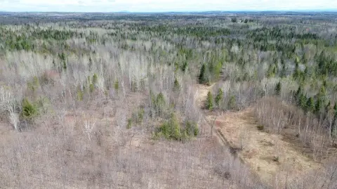 81 Acres of Mixed Land