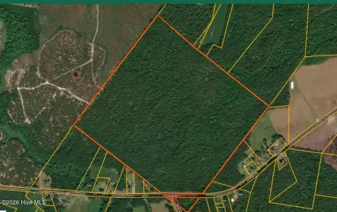 98 Acres of Hunting Land