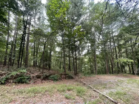 Ranger, GA Land For Sale