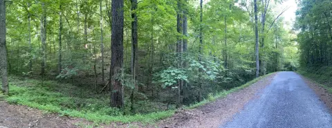 Ranger, GA Land For Sale