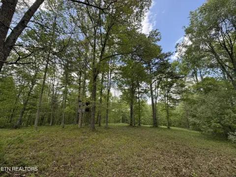 Helenwood, TN Acreage For Sale