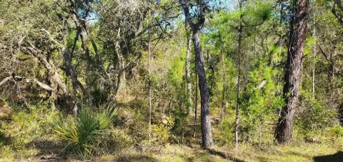 1.8 Acre Wooded Residential Lot