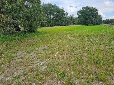 Oversized Vacant Lot in Tampa