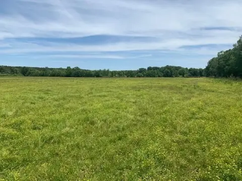 26.4 Acres of Open Pasture