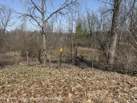 Lake Access Vacant Lot