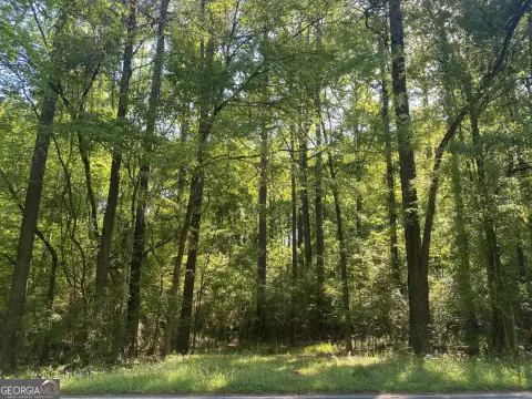 Wooded Land Near Downtown Gray