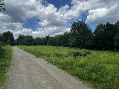 Recreational Hunting Land Parcel