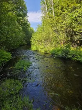 Waterfront Recreational Land