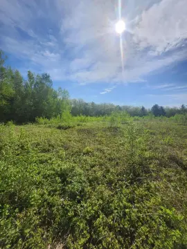 Land in Peaceful Rural Setting