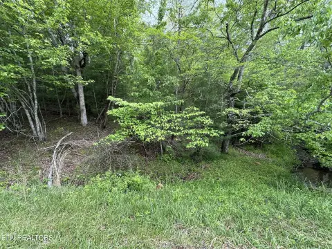 Residential Land in Fairfield Glade