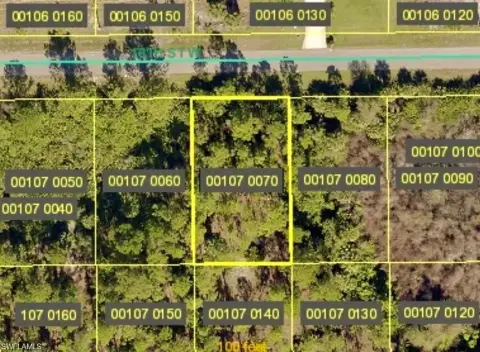 Residential Land in Lehigh Acres