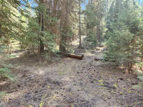 Land in Klamath Forest Estates