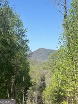 Versatile Land Parcel in Scaly Mtn