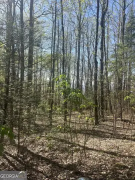 Versatile Land Parcel in Scaly Mtn