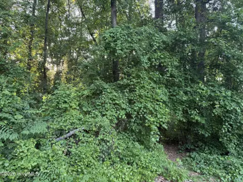 Residential Land in Serene Location