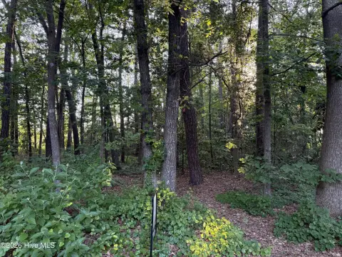 Residential Land in Boyd Park