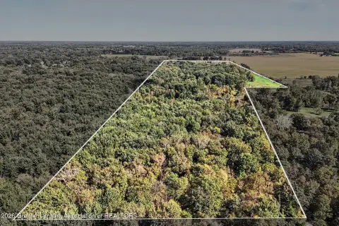 Wooded Hunting Land