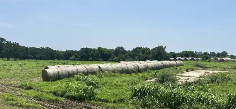Pasture and Timber Agricultural Land