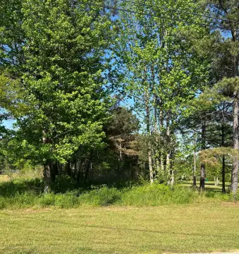 Residential Land in Dora, Alabama