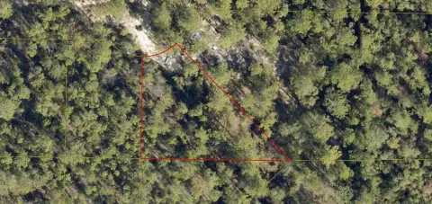 Wooded Residential Lot in Subdivision