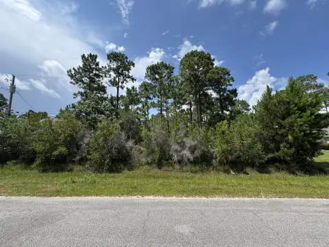 Single-Family Homesite in Established Subdivision