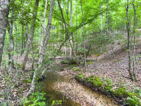 Richmond County 14-Acre Land Tract