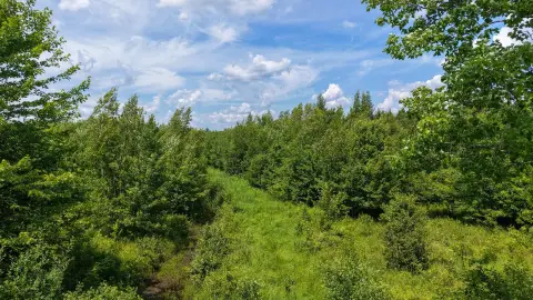 Wooded Hunting Land with Trail Access