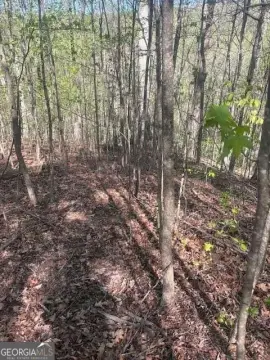 Residential Lot in Gated Community