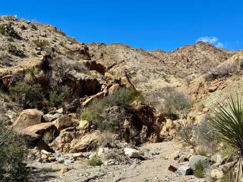 40 Acres Near Big Bend