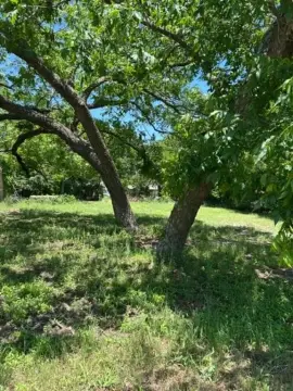 Whitewright, TX - Ready to Build