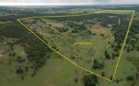 Texas Ranch and Hunting Property