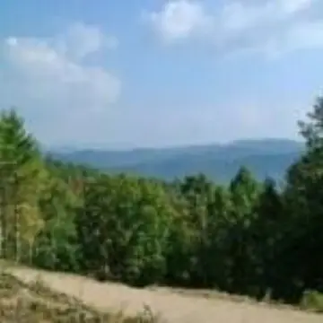 Mountain Retreat Land Opportunity