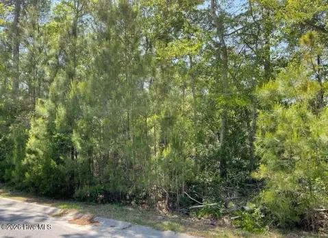 Residential Land in Brunswick Landing