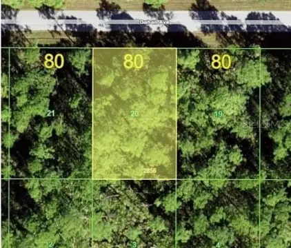 Port Charlotte Treed Building Lot
