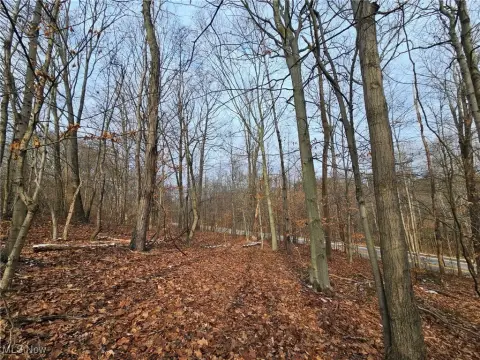 Hunting Land with Cabin, Kimbolton