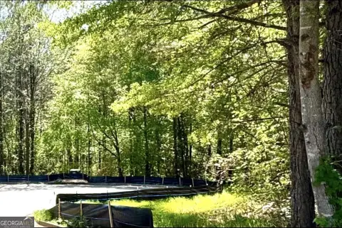 Wooded Lot in Established Community