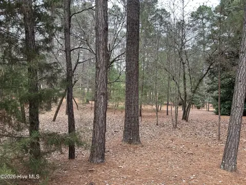 Buildable Lot in Pinewild