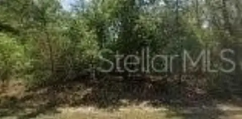 Citrus Springs Oversized Residential Lot