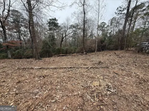 Residential Building Lot in Macon