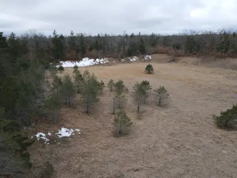 Alcona County Hunting Land For Sale
