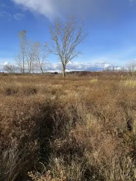 7.79 Acres Vacant Land