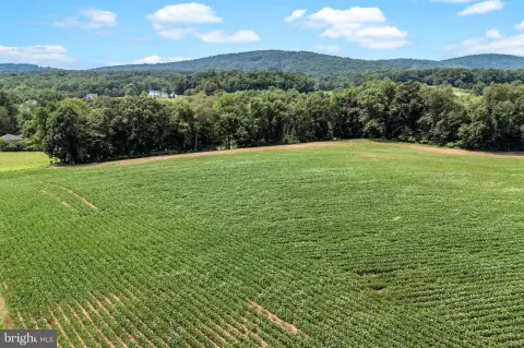 Farmland with Meadow